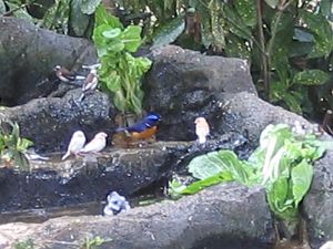 d0006812_17383549.jpg