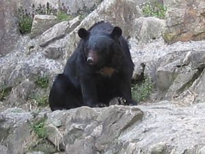 d0006812_17443232.jpg