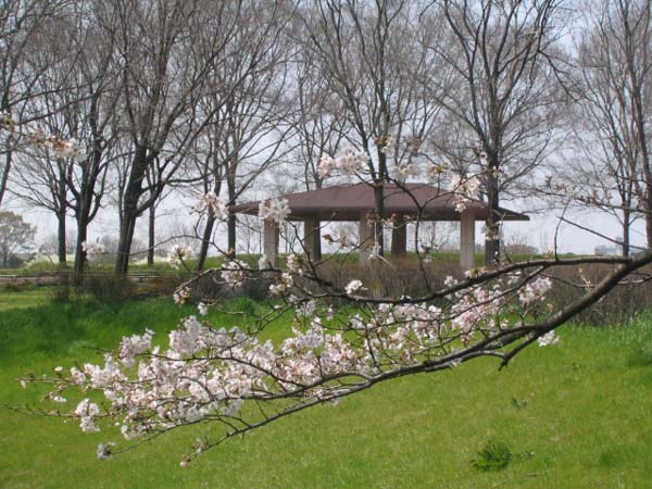 c0060115_1350890.jpg