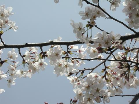 a0020116_18535322.jpg