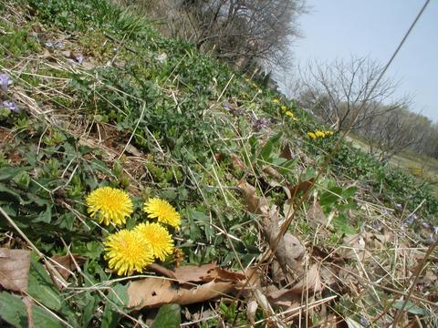a0020116_1854729.jpg
