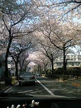 c0035417_219584.jpg