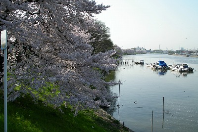 a0034419_11502167.jpg