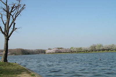 a0034419_11504059.jpg