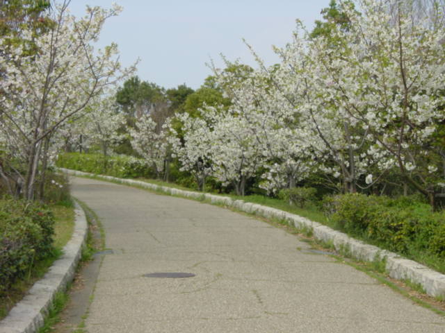 c0030624_10442457.jpg