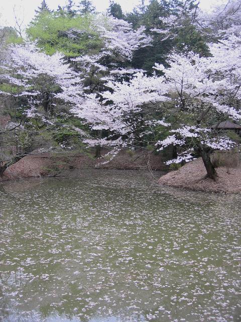 b0031237_10525445.jpg
