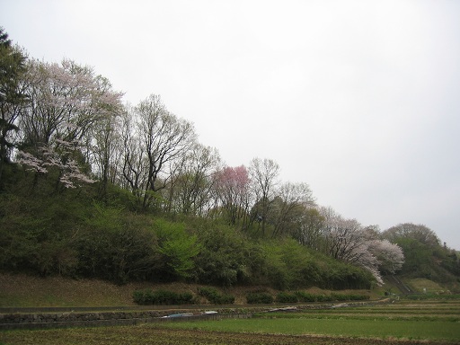 b0031237_9174778.jpg