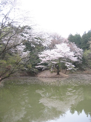 b0031237_9204115.jpg