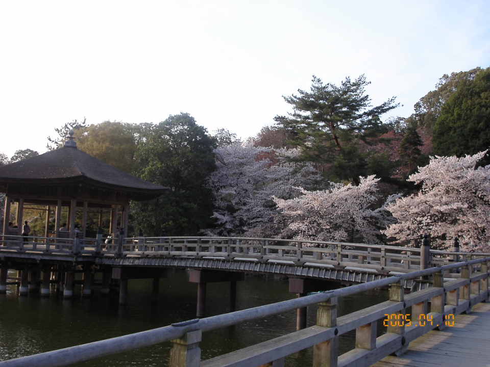 b0039246_004541.jpg