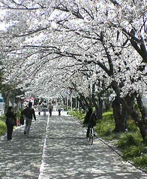 a0023548_19321396.jpg