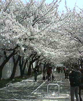 a0023548_19325492.jpg