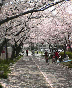 a0023548_1933058.jpg