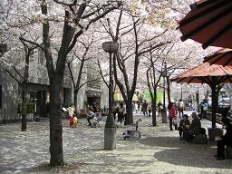 c0049950_2321330.jpg