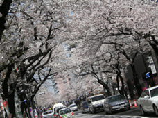 c0069552_22322146.jpg
