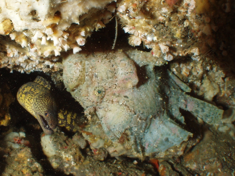 d0021952_21593283.jpg