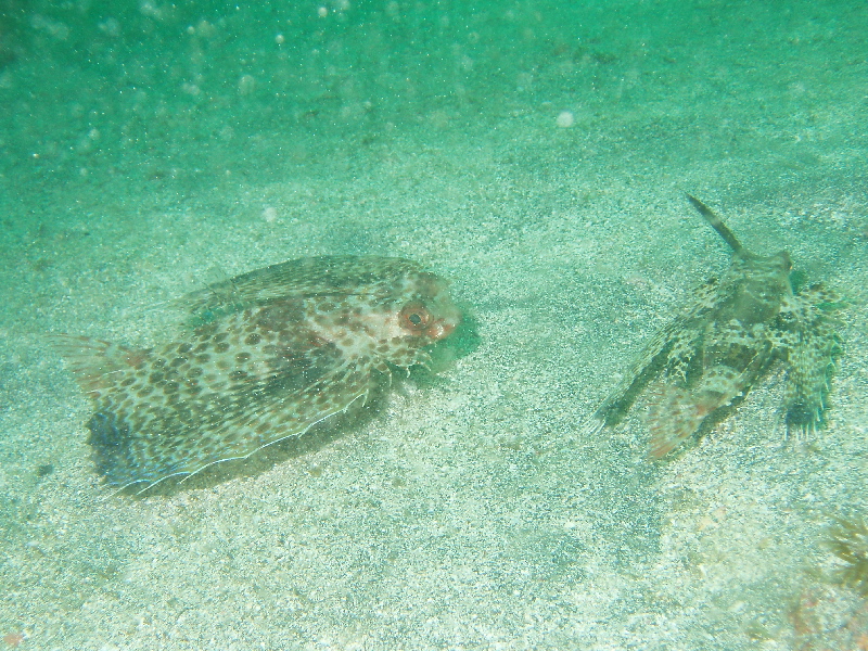 d0021952_22183518.jpg