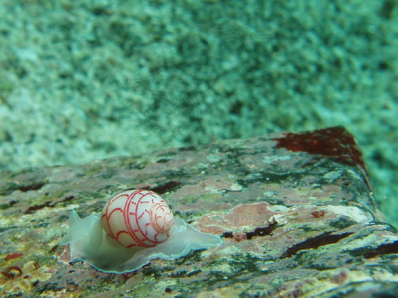 d0021952_22392690.jpg