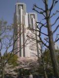 c0029455_22554023.jpg