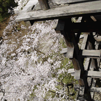 c0062361_218781.gif