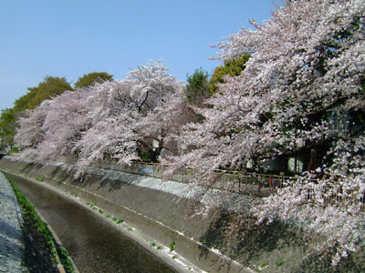 c0032567_2230188.jpg