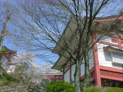d0013968_20533366.jpg