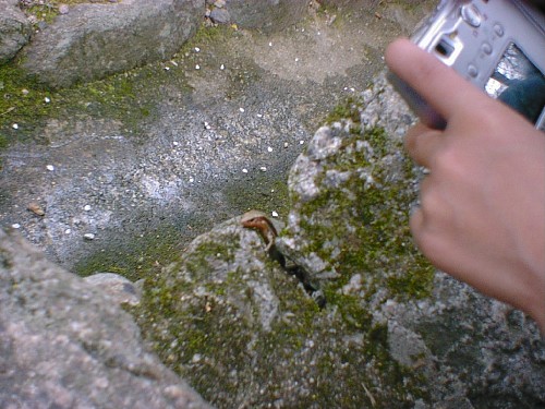 d0013968_20544792.jpg