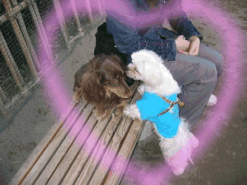b0060071_2327207.gif