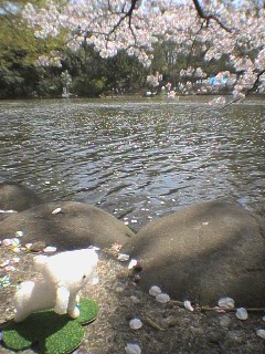 c0070372_22474051.jpg