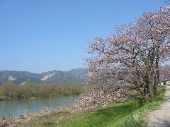 b0039373_10555723.jpg