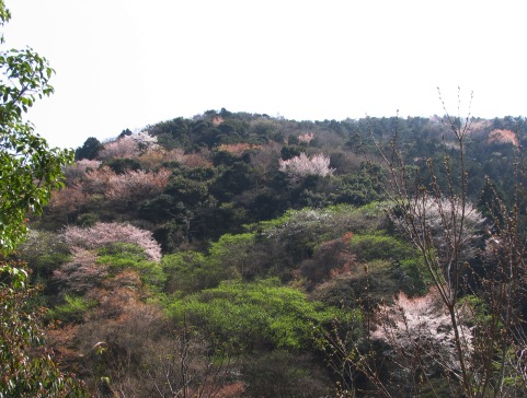 c0039974_1175015.jpg