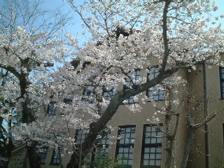 c0009275_01796.jpg