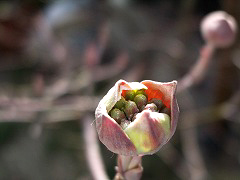 c0045882_1834265.jpg