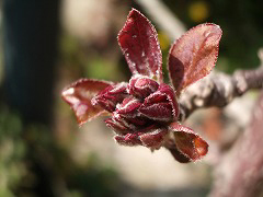 c0045882_1839345.jpg