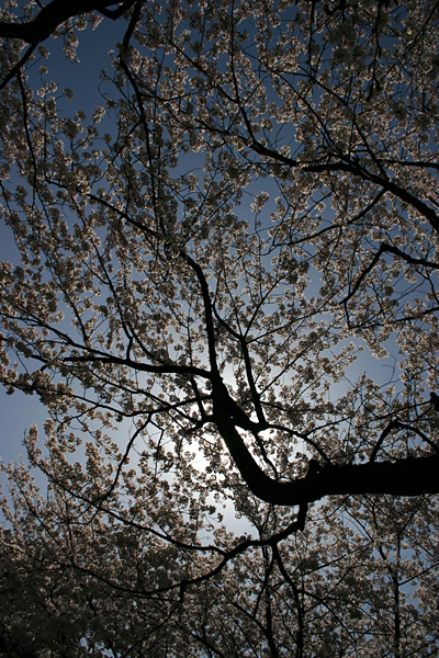 b0067789_1020069.jpg