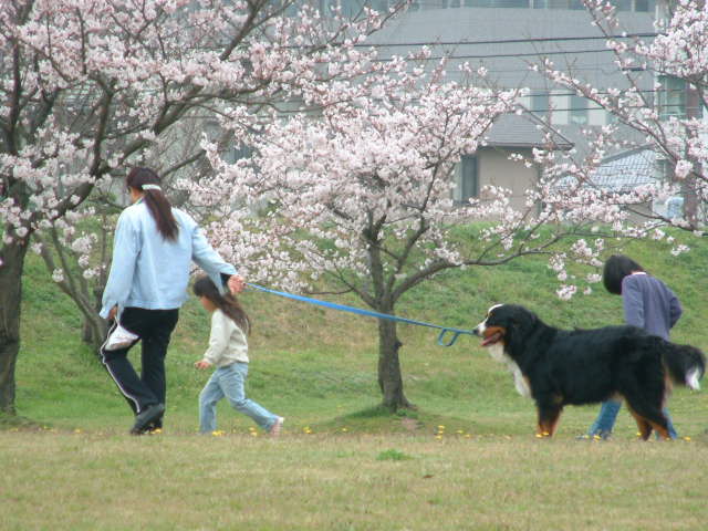 b0044296_21281652.jpg