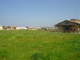 c0008598_20324815.jpg