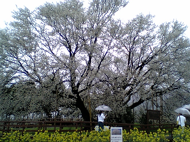 b0029704_0113514.jpg