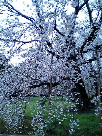 b0029704_0153656.jpg