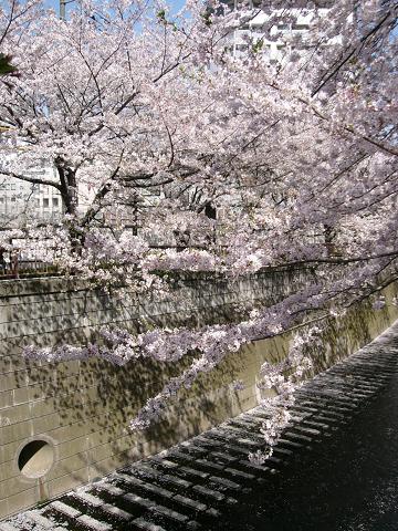 c0042012_23354429.jpg