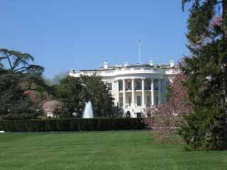 c0055212_1264470.jpg