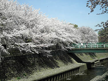 a0022014_1049532.jpg