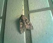 c0061214_22364588.jpg