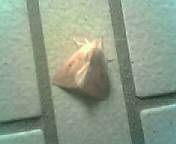 c0061214_2237363.jpg