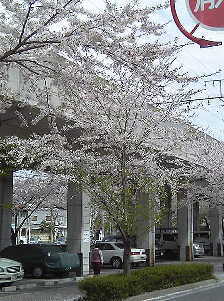 a0021421_2317531.jpg