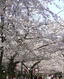 c0047221_18105730.jpg