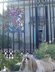 c0028424_15472125.jpg