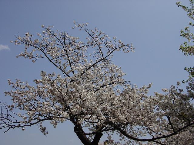 b0034633_0432864.jpg