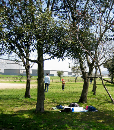 b0065936_22484815.jpg