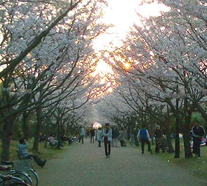 c0007741_942169.jpg