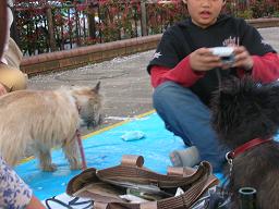 c0004744_21561521.jpg
